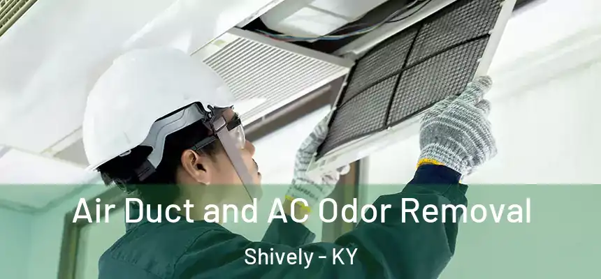  Air Duct and AC Odor Removal Shively - KY