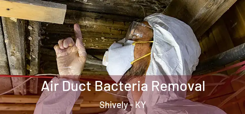  Air Duct Bacteria Removal Shively - KY
