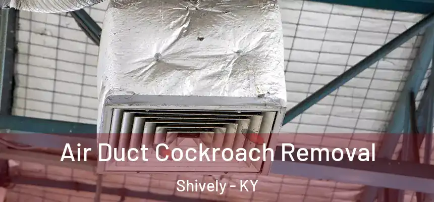  Air Duct Cockroach Removal Shively - KY