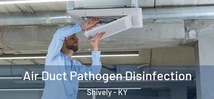  Air Duct Pathogen Disinfection Shively - KY