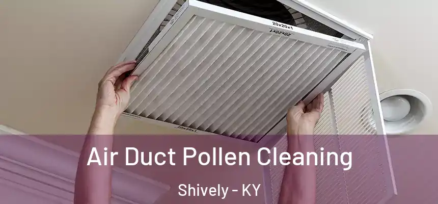  Air Duct Pollen Cleaning Shively - KY
