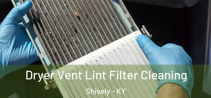  Dryer Vent Lint Filter Cleaning Shively - KY