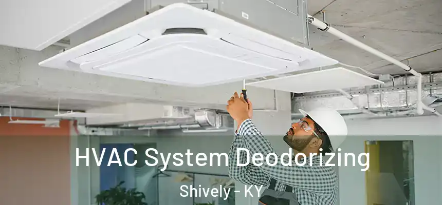  HVAC System Deodorizing Shively - KY