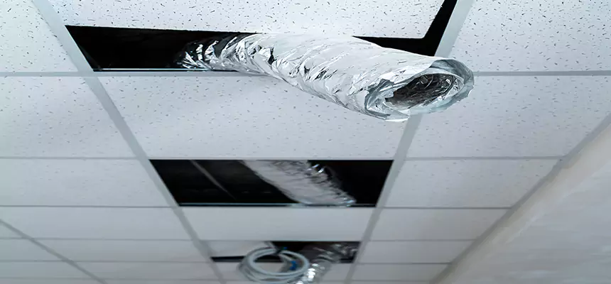 Affordable HVAC Sanitizing After Pest Removal in Shively