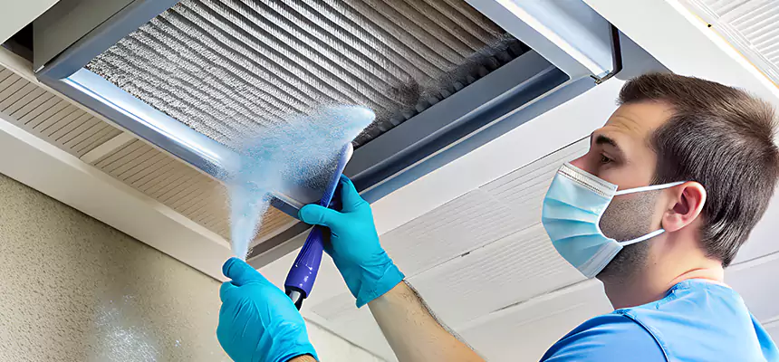 Proactive Dryer Vent & Auxiliary Duct Pollen Cleanup in Shively, KY
