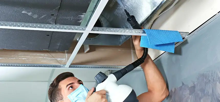 Our Air Duct Rodent Removal Services in Shively, KY