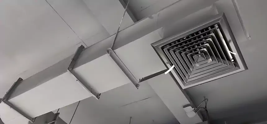 Our Pest Removal From Ducts Services in Shively, KY