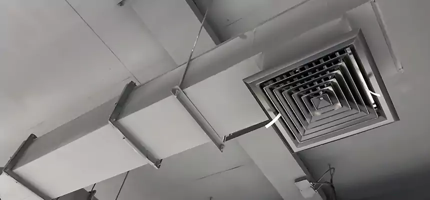 Our Rodent Droppings In Vents Services in Shively, KY