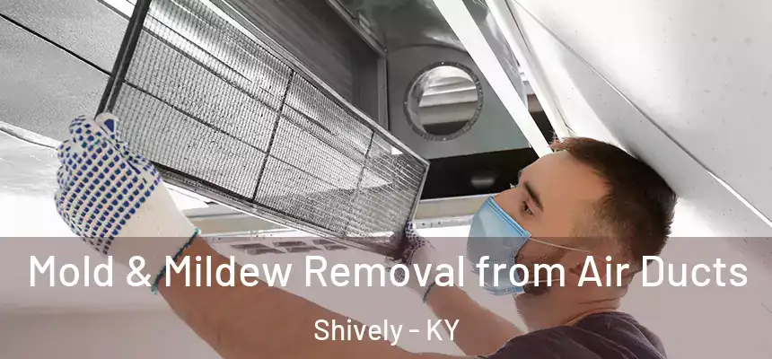  Mold & Mildew Removal from Air Ducts Shively - KY