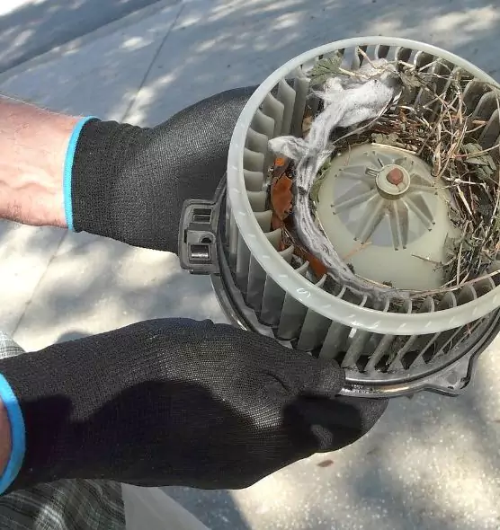 About Air Duct Mice Removal in Shively, KY