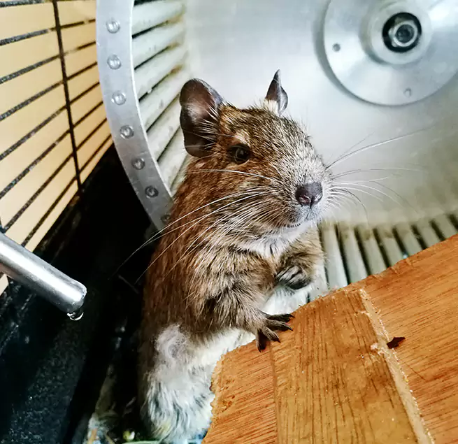 Why Homeowners & Businesses Trust Us Shively, KY