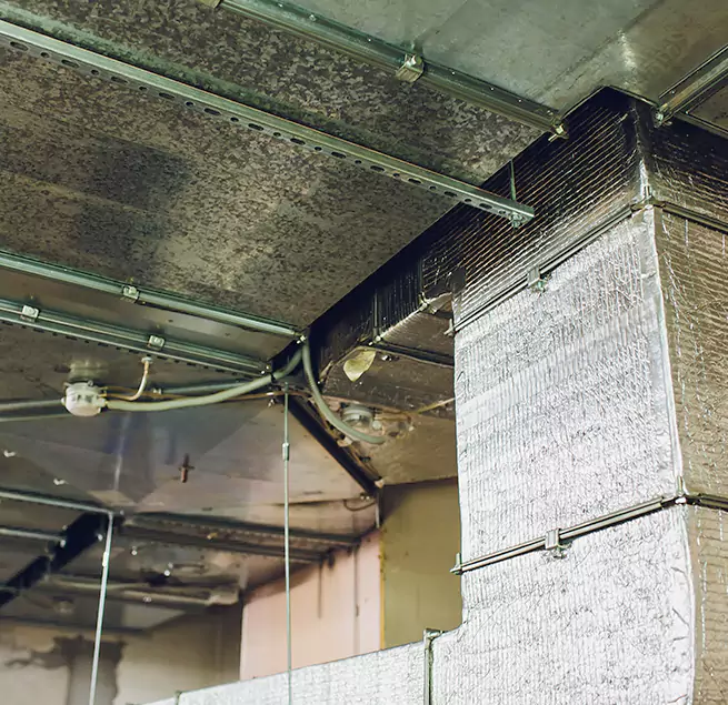 Why Homeowners & Businesses Trust Us in Shively, KY?